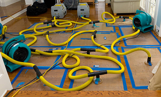 Professional Basement Flood Cleanup technician working in Merrill, WI